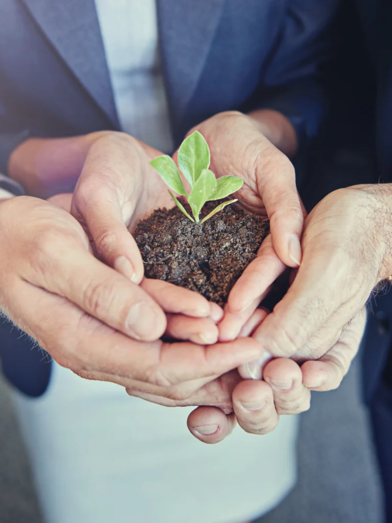 optimización integral 3 